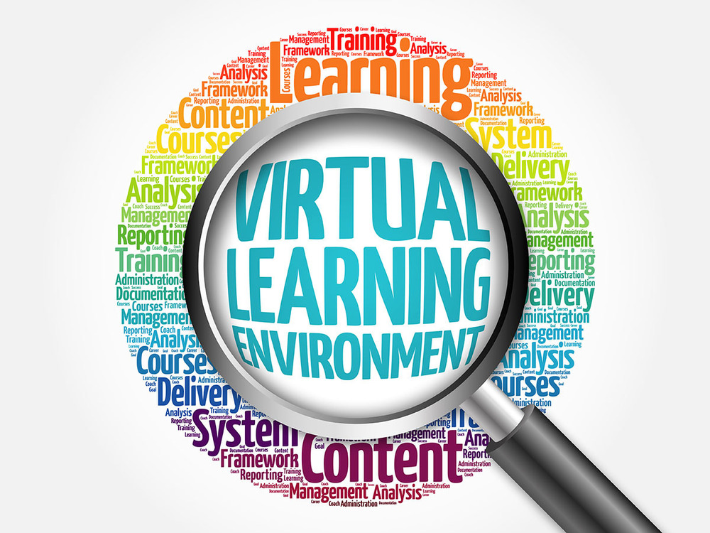 Virtual Learning Environment