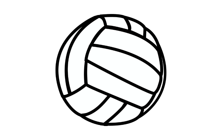 Black and White Volleyball
